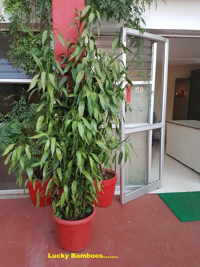 Hotel Stone House Mahabaleshwar Exterior photo